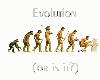 Evolúció