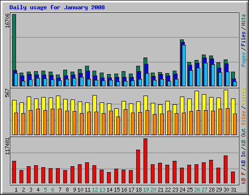 Daily usage for January 2008