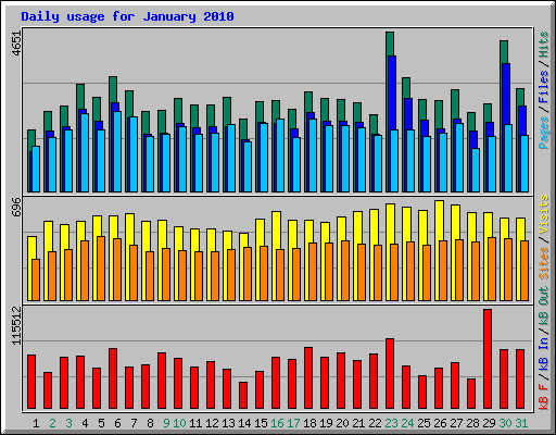 Daily usage for January 2010