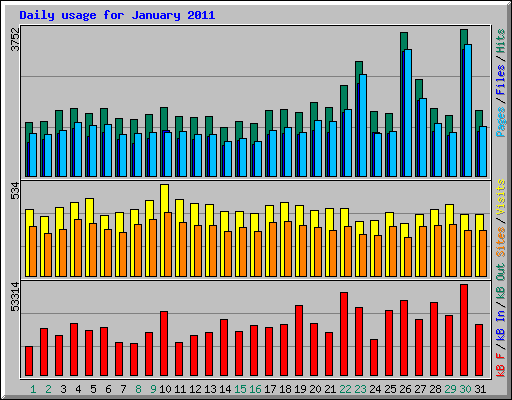 Daily usage for January 2011