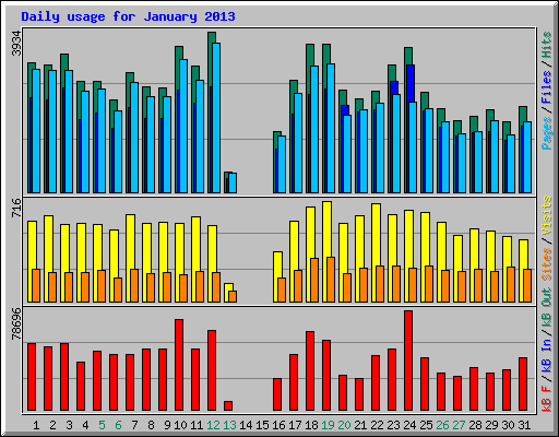 Daily usage for January 2013