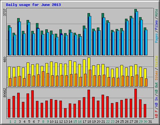 Daily usage for June 2013