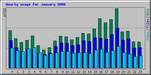 Hourly usage for January 2008