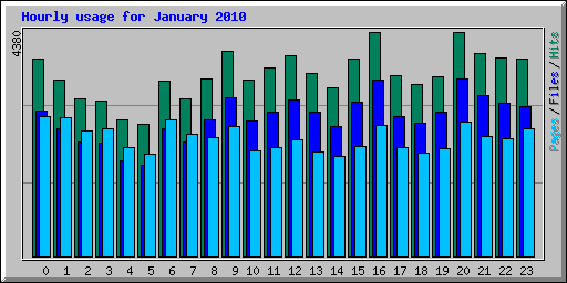 Hourly usage for January 2010