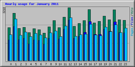 Hourly usage for January 2011