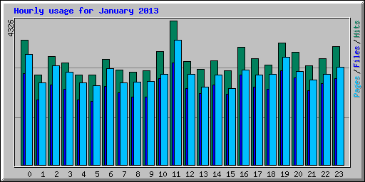 Hourly usage for January 2013